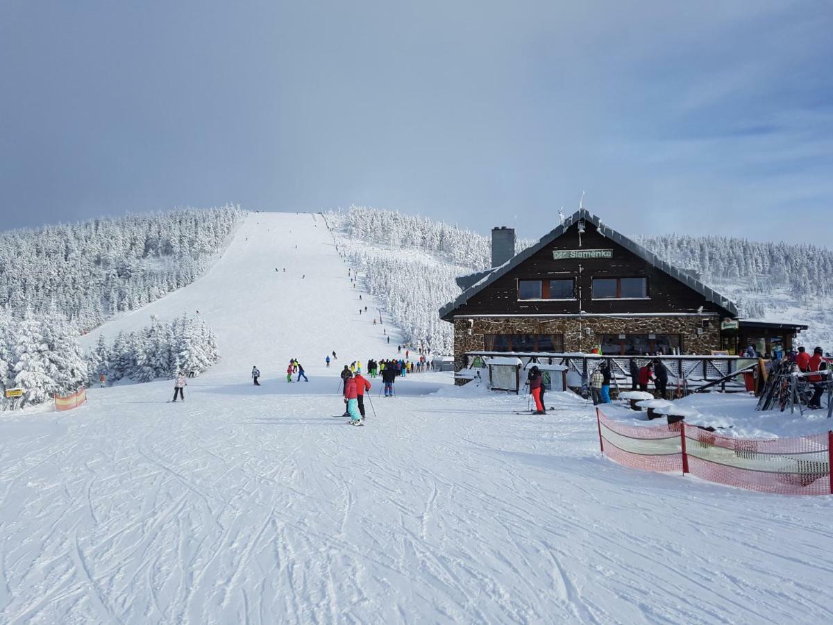 Depandance MARNET Sněžník Apartment Dolni Morava Bagian luar foto